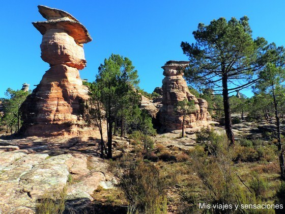Las Corbeteras, un bosque de piedra en la Serranía de Cuenca - Mis viajes y  sensaciones